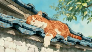 屋顶懒散的猫咪