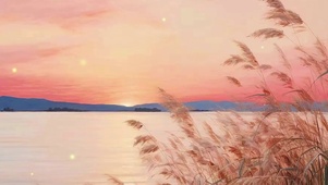 日落芦苇荡