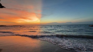 海