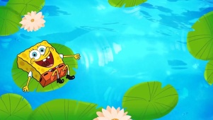 荷叶上的海绵宝宝