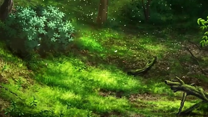4K 神秘森林