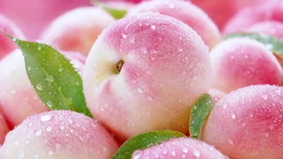 蜜桃物语
