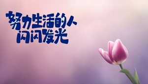 治愈郁金香