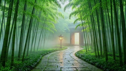 国风竹路听雨
