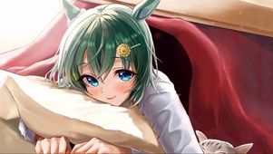 猫咪揣手手