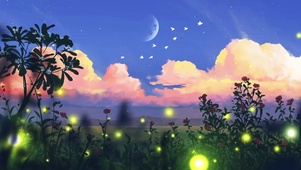 萤火虫之夜