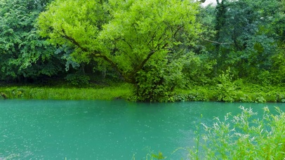 夏日清凉雨天绿林河流