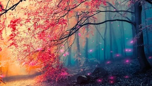 樱花雾霾森林