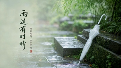 雨院江南闲景