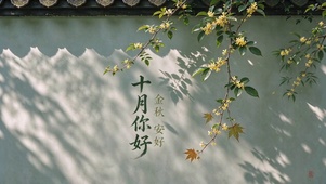 十月安好