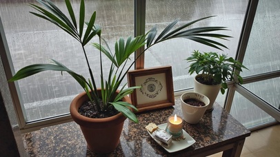 【雨景】窗外的雨