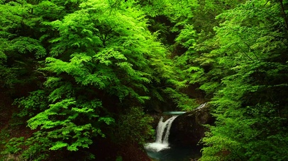 4K新绿护眼瀑布