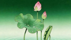 护眼小清新