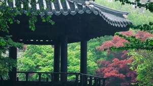 雨中庭园