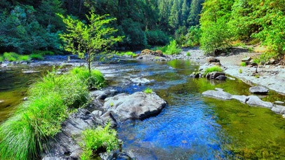 治愈小河流水4K