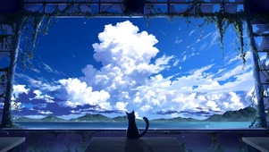 Lost Cat.