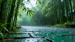 雨滴竹林
