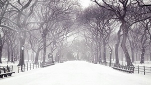 唯美雪景