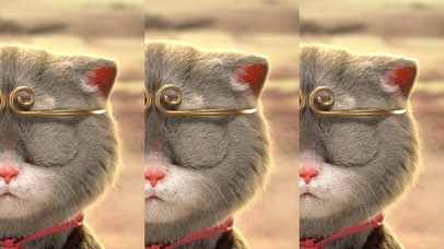 斑布猫-带上金箍