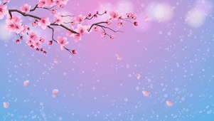 樱花落满头
