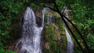 高山流水