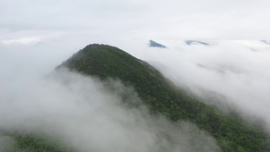 放空·俯瞰云山雾海