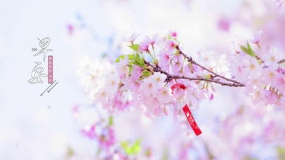 文字控早上的樱花风铃