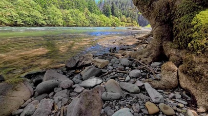护眼清新自然河边