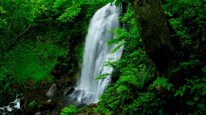 4K清凉绿林护眼瀑布