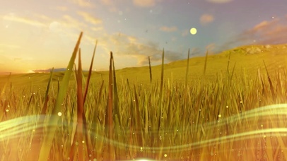 夏天   风吹麦浪