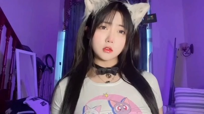 你喜欢的小喵咪