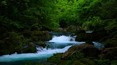 夏日山涧清凉溪流