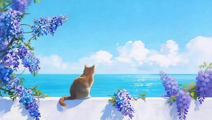 治愈 看海的猫
