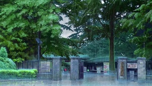 雨中清新