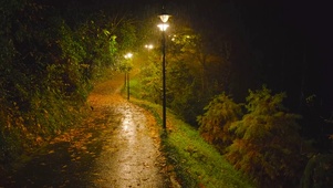 夜雨路灯小路