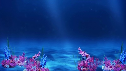 热门海底生物动态桌面壁纸图片 热门动态壁纸下载 元气壁纸