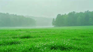 4K护眼治愈雨景