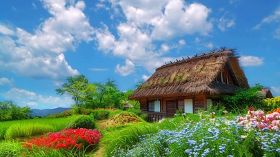 唯美的自然小屋风景