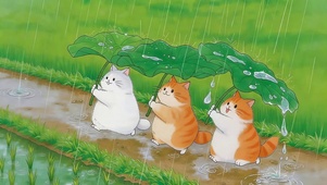 雨天可爱猫咪