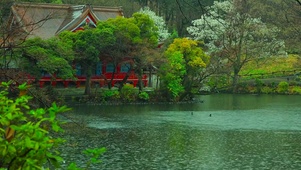 雨天湖边园林