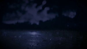 暴雨雨夜