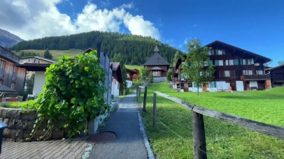 在春暖花开的日子见面