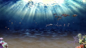 海底世界