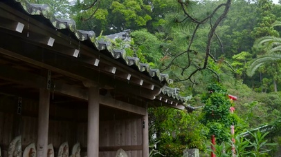 4K雨天寺庙
