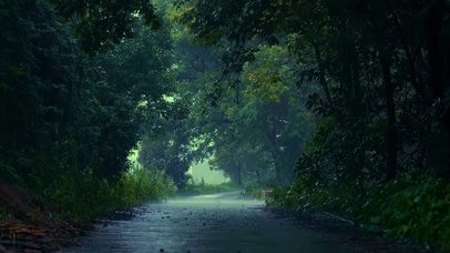 春季雨天小路