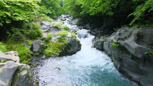 绿林山涧