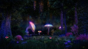 梦幻蘑菇森林
