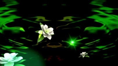 茉莉花舞台LED