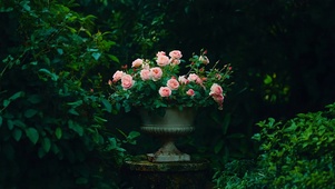 花