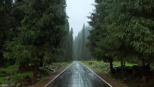 雨天治愈系